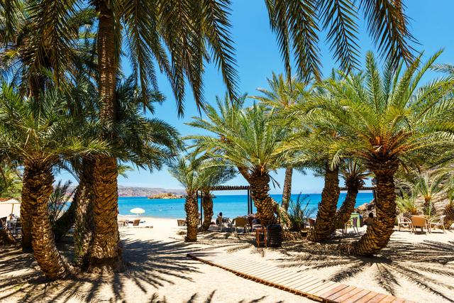 Vai Beach Crete: Europe’s largest natural palm grove and how to visit