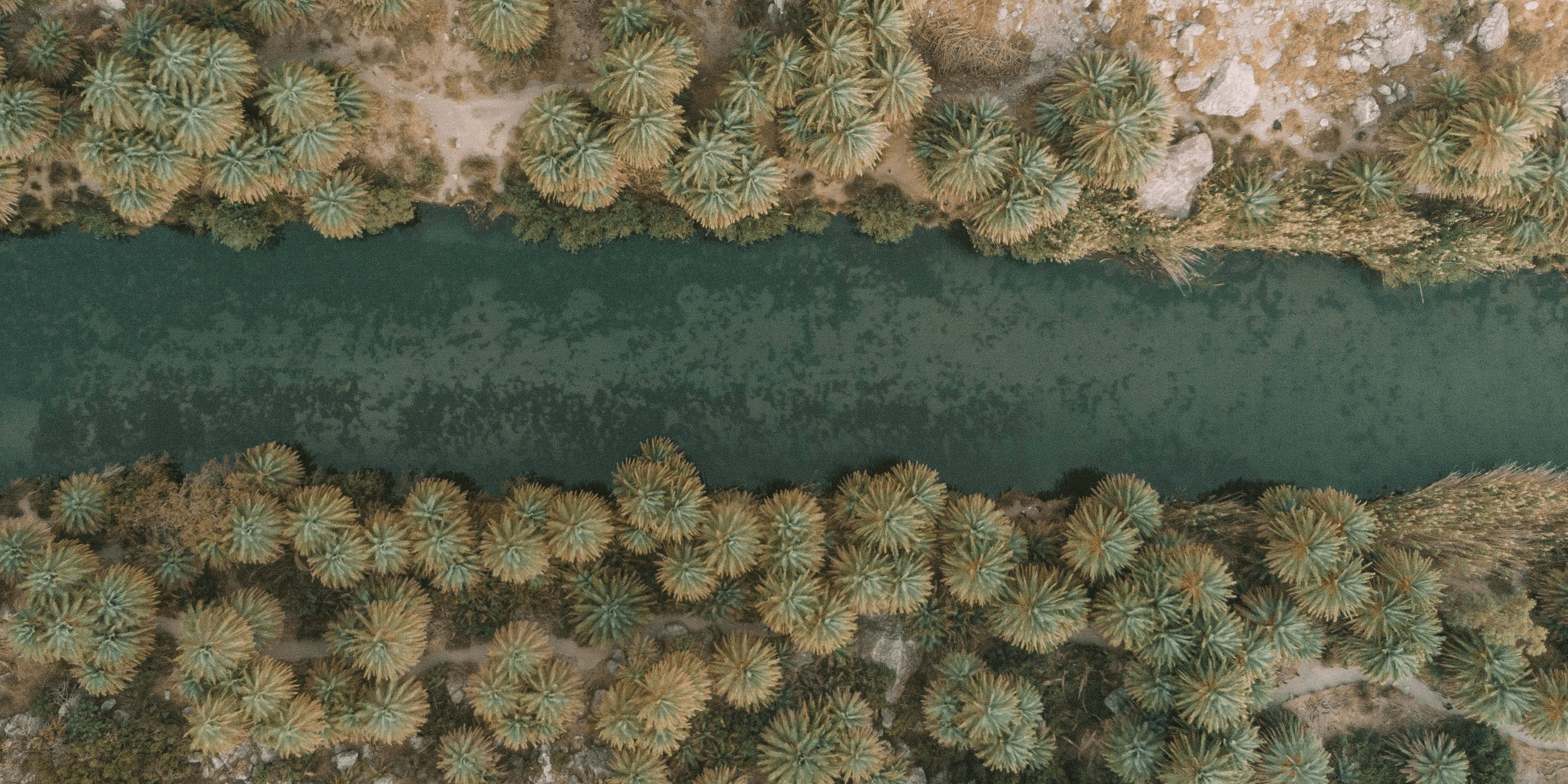 Abenteuer wartet. Mieten Sie noch heute Ihr perfektes Auto.